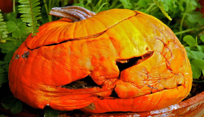 grosse pumpkin