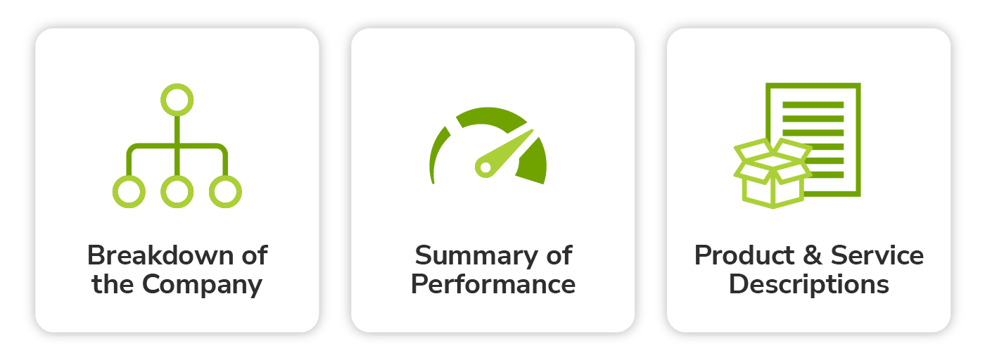 icons of key metrics representing breakdown of company, brief summary of performance and product and service descriptions