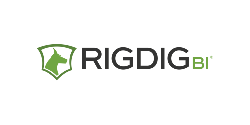 RigDig BI logo