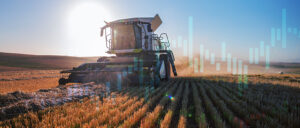 combine harvesting wheat in field