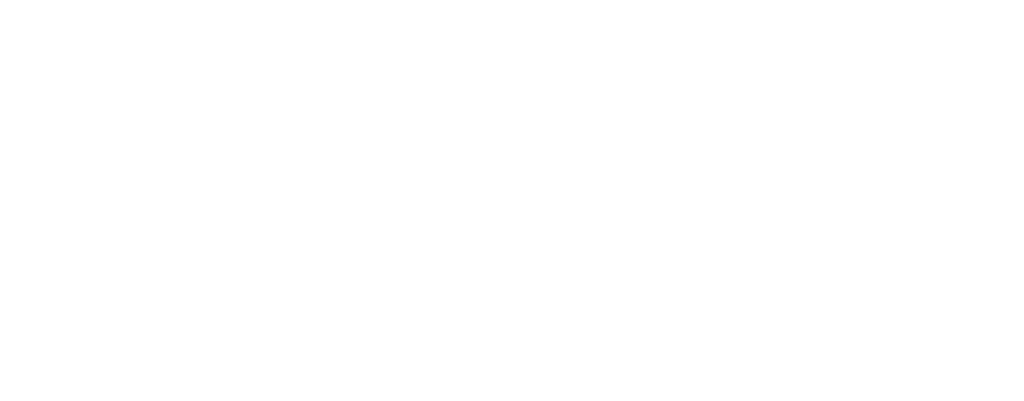 google partner logo