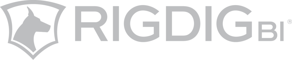 RigDig logo