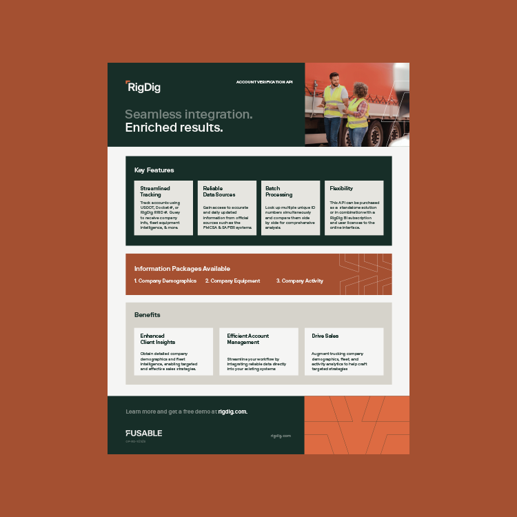 RigDig Account Verification API One Pager