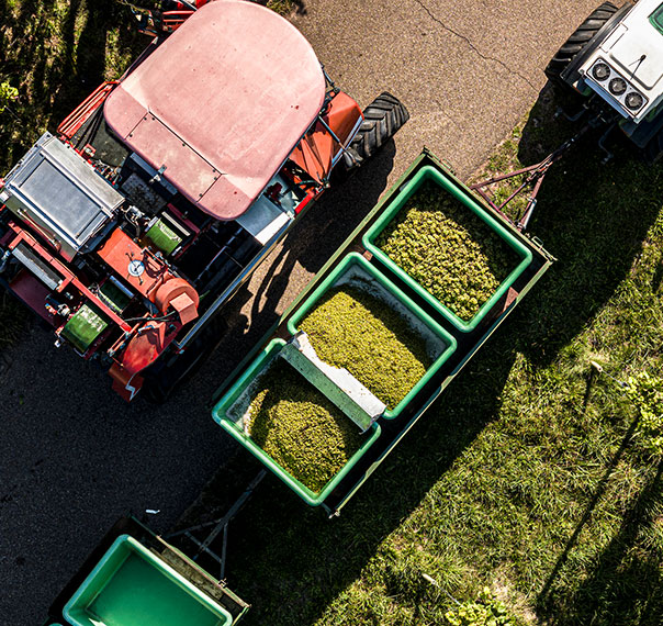 Plan strategic market growth