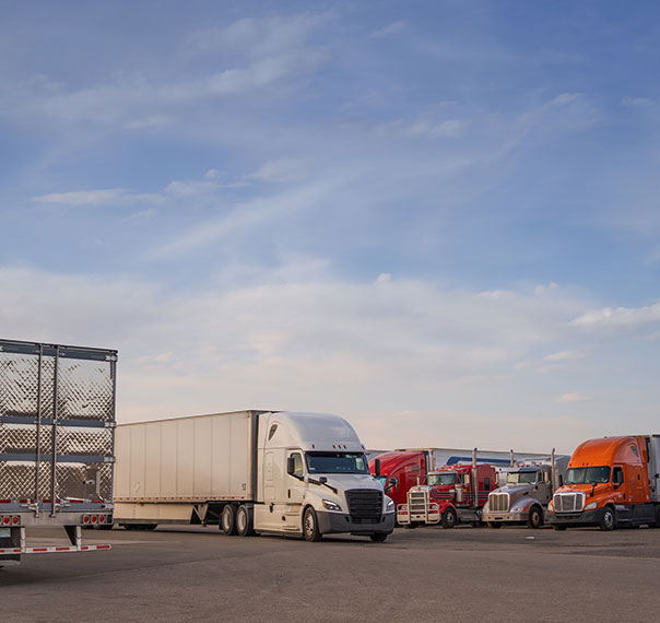 Mitigate risk with motor carrier safety insights