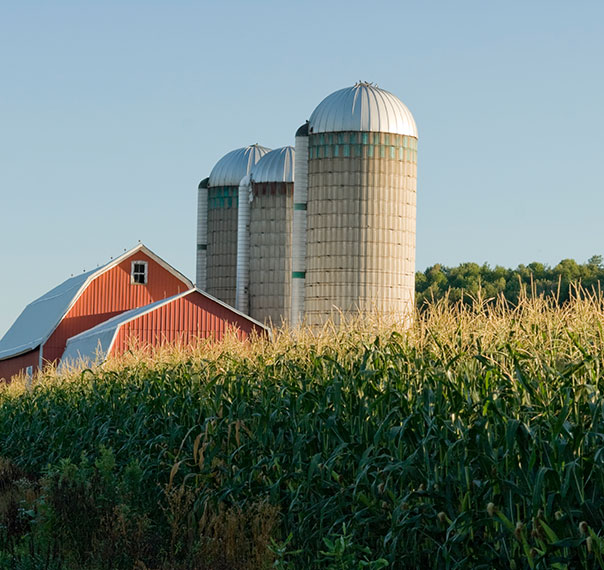 Create competitive pricing strategies