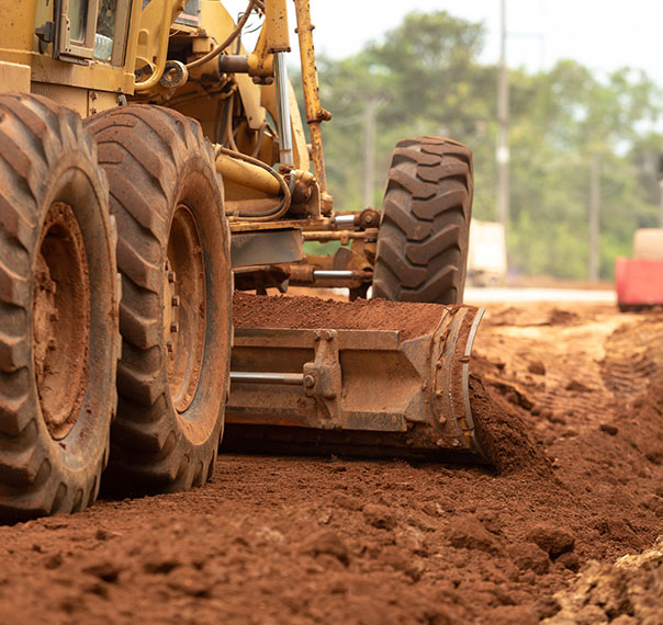 Get fleet insights and spot trends